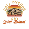 Ball Python Snake King Python
