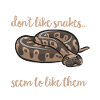 Ball Python Schlange Königspython