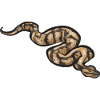 Ball Python Snake King Python
