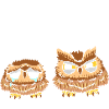 Owl Yes