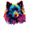 Wasserfarben Farbenfroher Schipperke