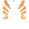 Canard distrait