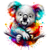 Koala