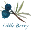Blueberry Vine