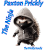 Paxton Prickly Nija