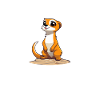 Erdmännchen Tier Surikate Geschenk