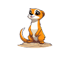Erdmännchen Tier Säugetier Geschenk