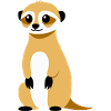 Suricate