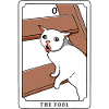 The Fool Funny Cat