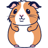 Guinea pig