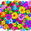 Flower Collage