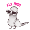 Fly High