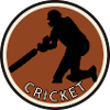 Pitcher cricket team