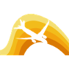 Aviation Pilot Aviator
