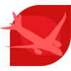 Aerospace Engineering Airplane Flyer