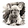 French Bulldog Puppy Drawing