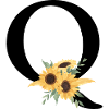 Letter q floral sunflower