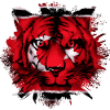 Aceh
