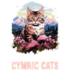 Cymric Kitten Cymric Cat