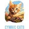 Cymric Kitten Cymric Cat