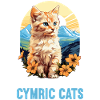 Cymric Kitten Cymric Cat