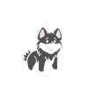 Humour loup