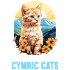 Cymric Kitten Cymric Cat