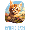 Cymric Kitten Cymric Cat