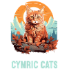 Cymric Kitten Cymric Cat