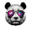 Panda Bear Sunglasses Galaxy Bears