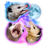 Opossums in SpaceFunny Opossum Possum