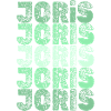 Joris Joris