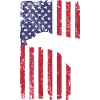 Weimaraner Hund mit USA Flagge