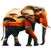 Éléphant