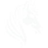 Melodisches Pferdeportrait