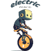 Electric Monowheel