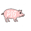 I think my pig whistles