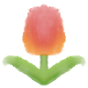 Tulipe !