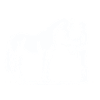 Horse Fool