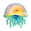 Jelly Sunset