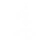 Elfe Starlit Elegance