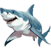 Shark