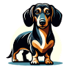 Dachshund Dackel