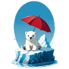 Polar Bear, Ice & Parasol