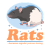 Rat Owner Rat Gift