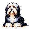 Tibetan Terrier