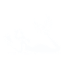 Book Mermaid in Reading Magic