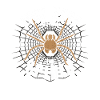 Funny Arachnophobia Awareness, Spider Phobia