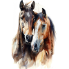 Pferd