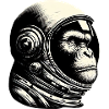 Chimpanzee, Astronaut, Thoughtful, Cosmos